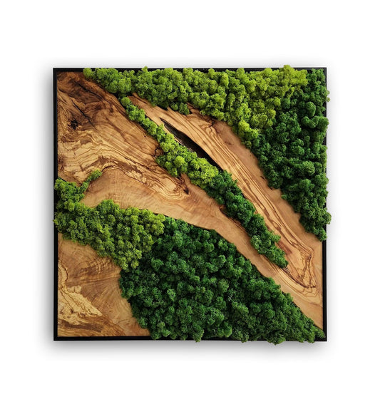 Moss Wall Decor