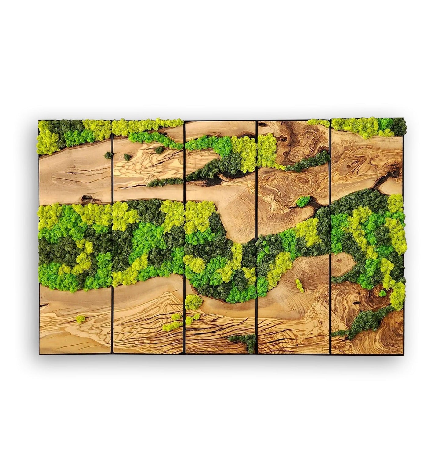 Moss Wall Decor, Custom Made Moss and Olive Wood Wall Art, Metal Frame, Olive Wood and Moss Wall Art- Preserved Stabilized Moss Wall Decor Artdesigna®