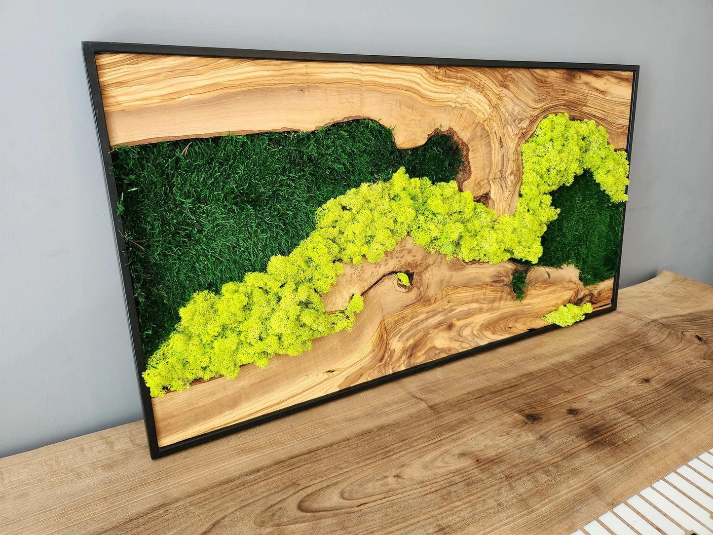 Moss Wall Decor, Custom Made Moss and Olive Wood Wall Art, Metal Frame, Olive Wood and Moss Wall Art- Preserved Stabilized Moss Wall Decor BlackSeaResinWorks
