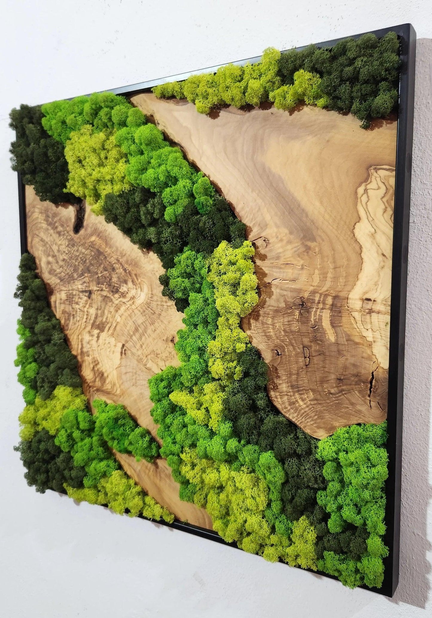Moss and Olive Wood Wall Art, Metal Frame Moss Wall Decor, Olive Wood and Moss Wall Art- Preserved Stabilized Moss Wall Decor BlackSeaResinWorks