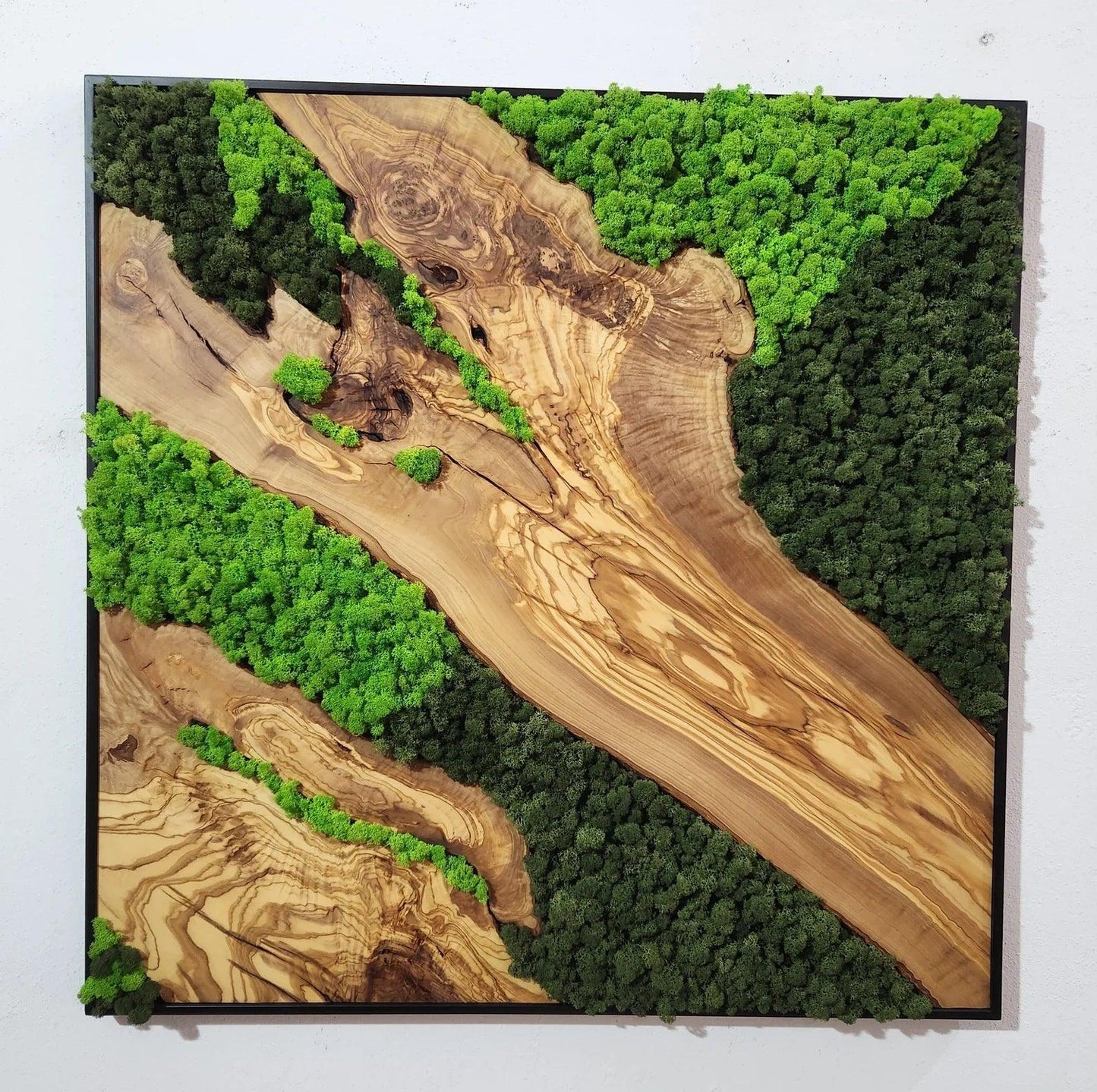 Moss and Olive Wood Wall Art, Metal Frame Moss Wall Decor, Olive Wood and Moss Wall Art- Preserved Stabilized Moss Wall Decor BlackSeaResinWorks