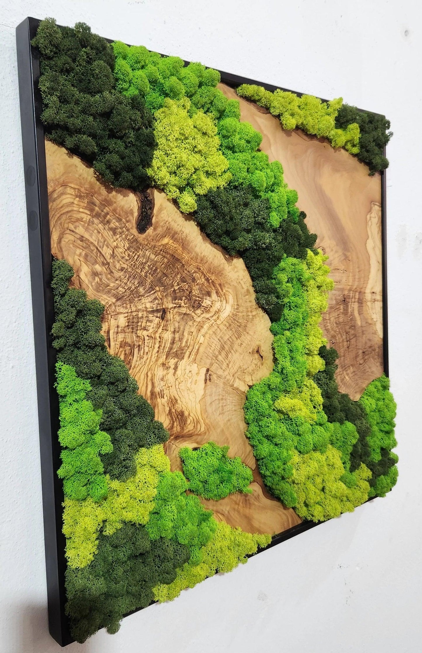 Moss and Olive Wood Wall Art, Metal Frame Moss Wall Decor, Olive Wood and Moss Wall Art- Preserved Stabilized Moss Wall Decor BlackSeaResinWorks