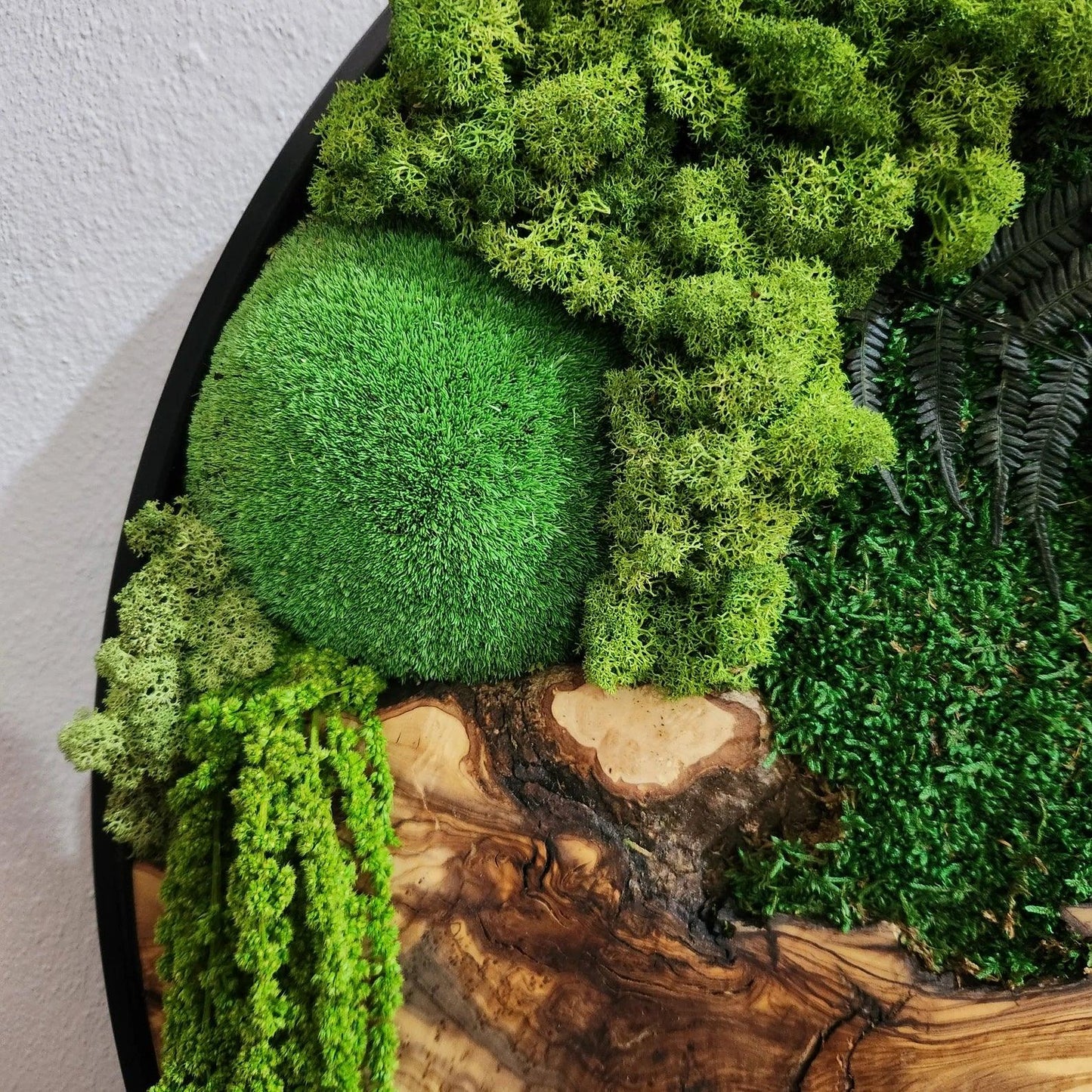 Custom Made Moss and Olive Wood Wall Art, Metal Frame Moss Wall Decor, Olive Wood and Moss Wall Art- Preserved Stabilized Moss Wall Decor BlackSeaResinWorks