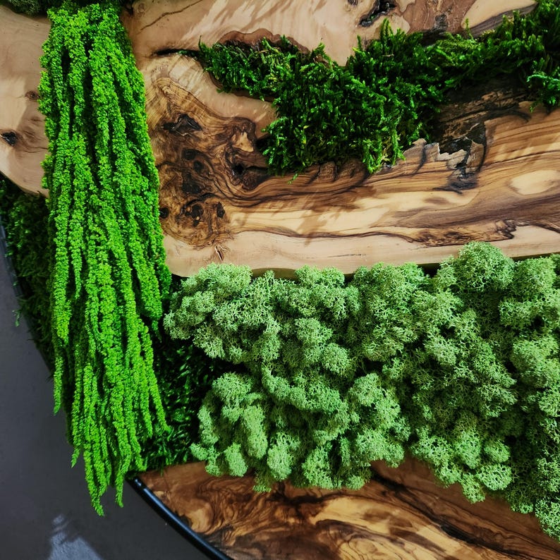 Moss and Olive Wood Wall Art, Custom Made Metal Frame Moss Wall Decor, Olive Wood and Moss Wall Art- Preserved Stabilized Moss Wall Decor BlackSeaResinWorks