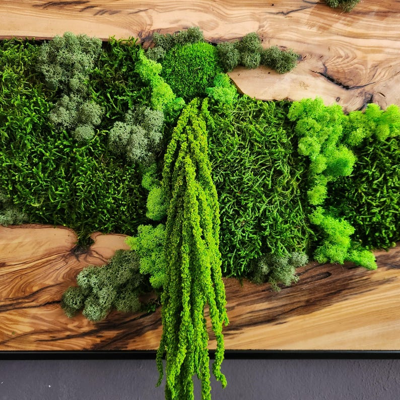 Moss & Wood Wall Art, Unique Custom Made Olive Wood And Moss Wall Decor, Rustic Greenery Decor, Hotel Lobby Wall Art Decor, Home Wall Decor