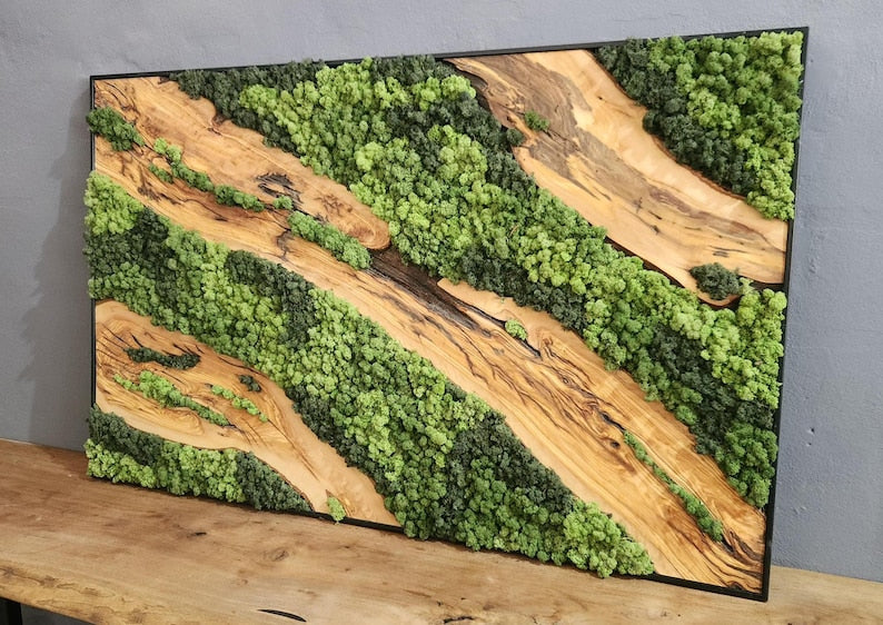 Moss & Wood Wall Art, Unique Custom Made Olive Wood And Moss Wall Decor, Rustic Greenery Decor, Hotel Lobby Wall Art Decor, Home Wall Decor BlackSeaResinWorks