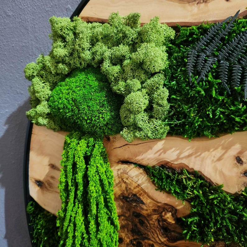 Moss and Olive Wood Wall Art, Custom Made Metal Frame Moss Wall Decor, Olive Wood and Moss Wall Art- Preserved Stabilized Moss Wall Decor BlackSeaResinWorks