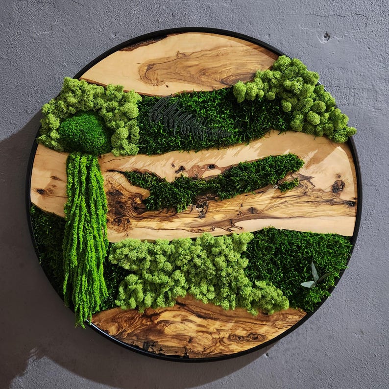 Moss and Olive Wood Wall Art, Custom Made Metal Frame Moss Wall Decor, Olive Wood and Moss Wall Art- Preserved Stabilized Moss Wall Decor BlackSeaResinWorks