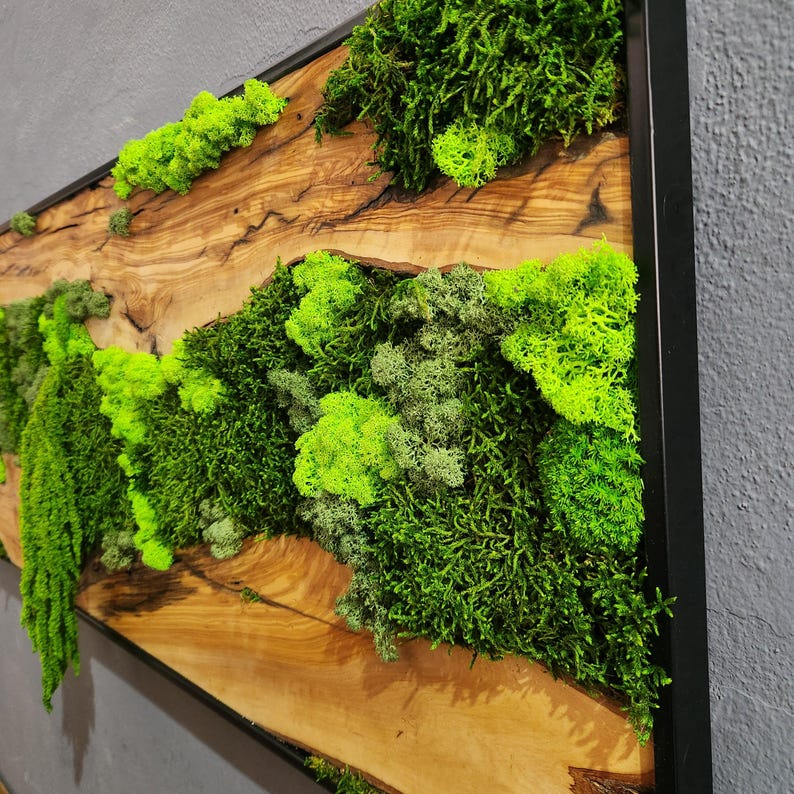 Moss & Wood Wall Art, Unique Custom Made Olive Wood And Moss Wall Decor, Rustic Greenery Decor, Hotel Lobby Wall Art Decor, Home Wall Decor