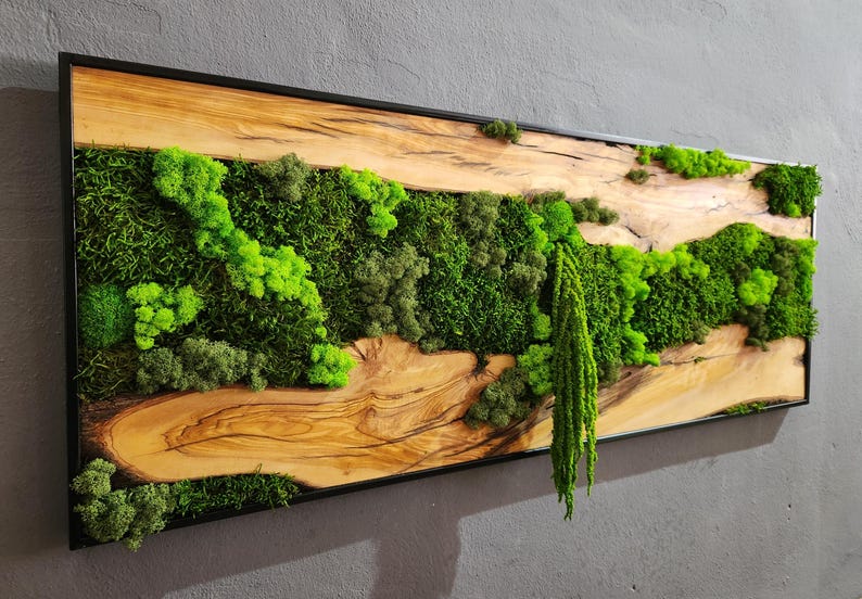 Moss & Wood Wall Art, Unique Custom Made Olive Wood And Moss Wall Decor, Rustic Greenery Decor, Hotel Lobby Wall Art Decor, Home Wall Decor