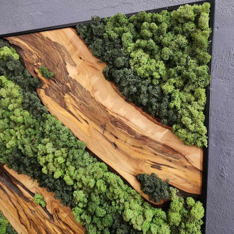Moss & Wood Wall Art, Unique Custom Made Olive Wood And Moss Wall Decor, Rustic Greenery Decor, Hotel Lobby Wall Art Decor, Home Wall Decor BlackSeaResinWorks