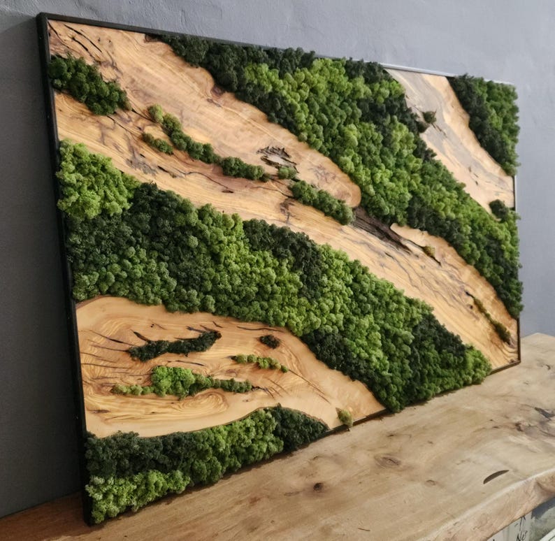 Moss & Wood Wall Art, Unique Custom Made Olive Wood And Moss Wall Decor, Rustic Greenery Decor, Hotel Lobby Wall Art Decor, Home Wall Decor BlackSeaResinWorks