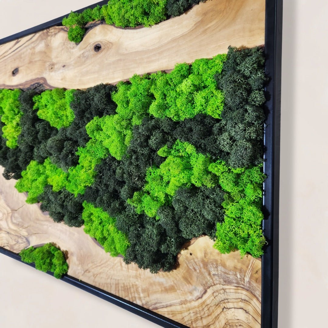 Moss Wall Decor, Custom Made Moss and Olive Wood Wall Art, Metal Frame, Olive Wood and Moss Wall Art- Preserved Stabilized Moss Wall Decor