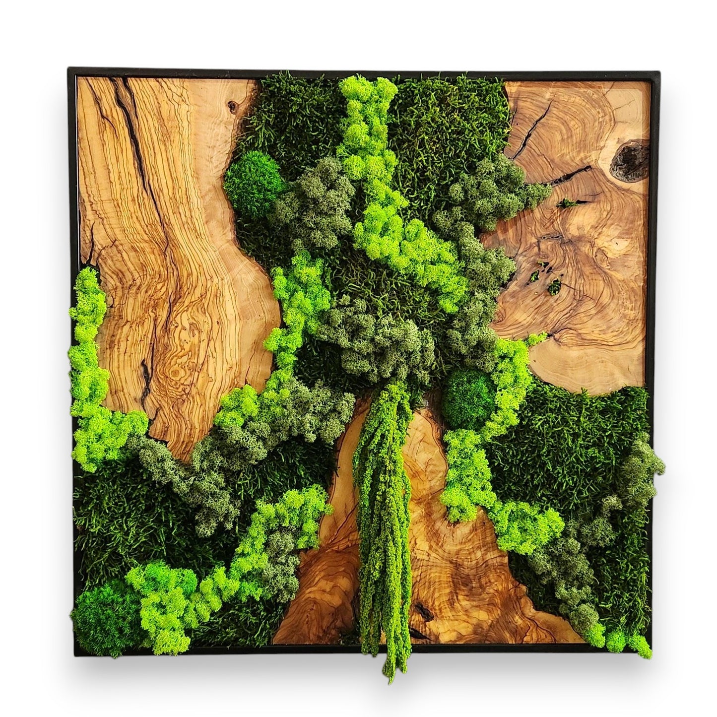 Wood Wall Art, Custom Made Metal Frame Moss Wall Decor, Olive Wood and Moss Wall Art, Preserved Stabilized Moss Wall Decor