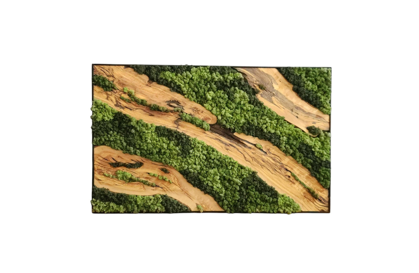 Moss & Wood Wall Art, Unique Custom Made Olive Wood And Moss Wall Decor, Rustic Greenery Decor, Hotel Lobby Wall Art Decor, Home Wall Decor BlackSeaResinWorks
