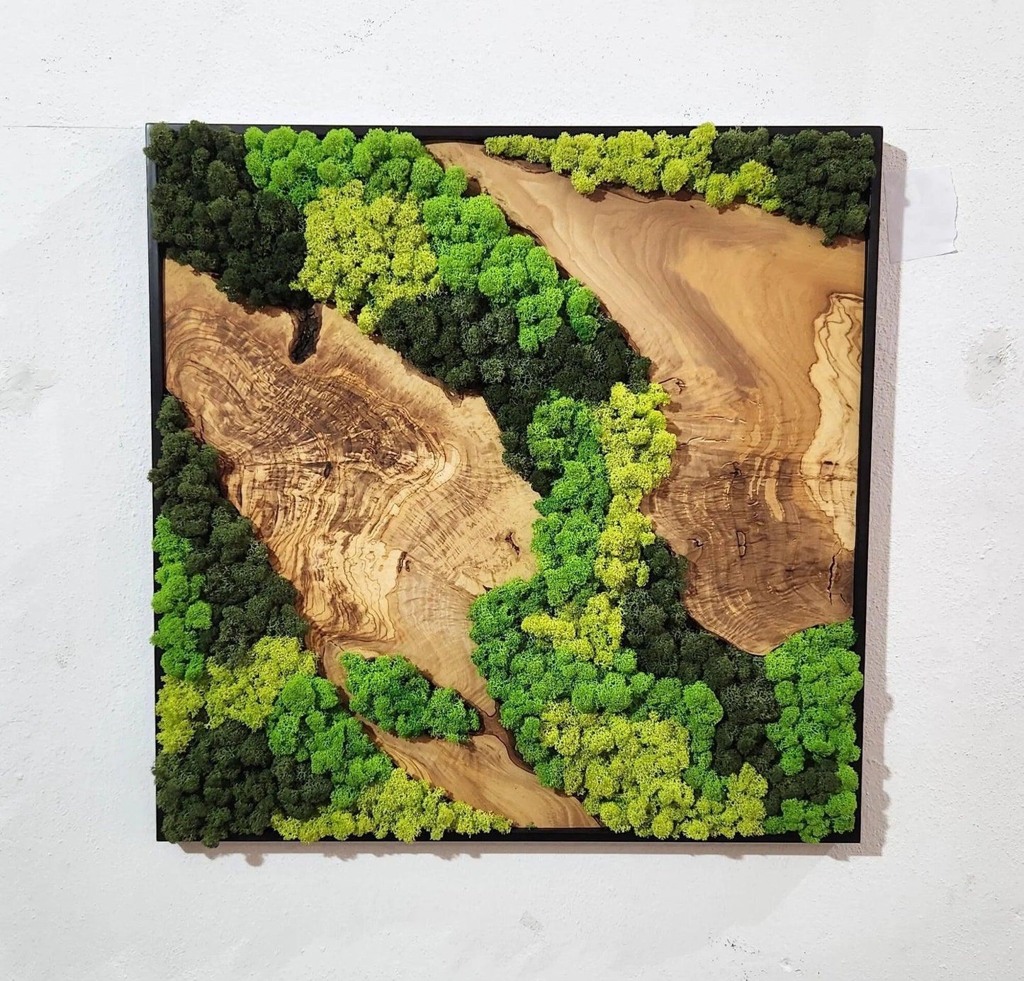 Moss and Olive Wood Wall Art, Metal Frame Moss Wall Decor, Olive Wood and Moss Wall Art- Preserved Stabilized Moss Wall Decor BlackSeaResinWorks