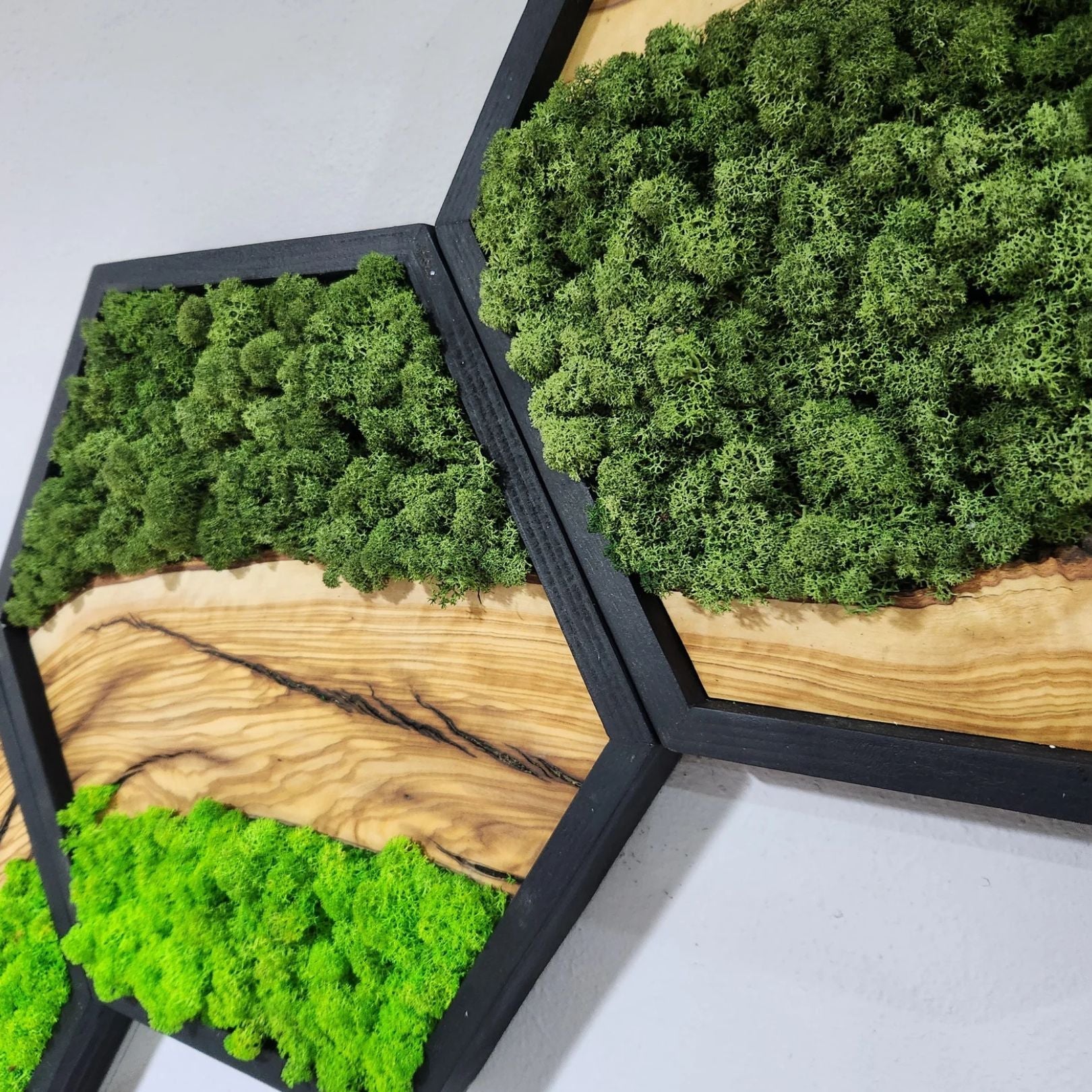 Hexagon Moss Wall Decor, Wooden Black Frame Moss Wall Decor, Olive Wood and Moss Wall Art, Preserved Honeycomb Moss Wall Art BlackSeaResinWorks