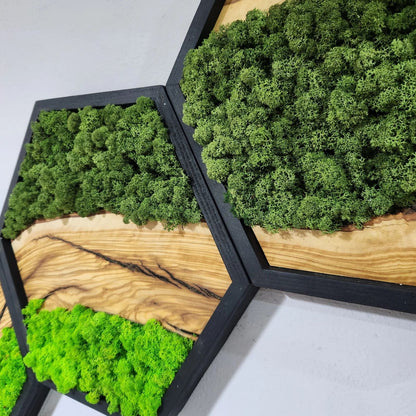 Hexagon Moss Wall Decor, Wooden Black Frame Moss Wall Decor, Olive Wood and Moss Wall Art, Preserved Honeycomb Moss Wall Art BlackSeaResinWorks