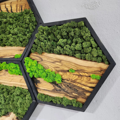 Hexagon Moss Wall Decor, Wooden Black Frame Moss Wall Decor, Olive Wood and Moss Wall Art, Preserved Honeycomb Moss Wall Art BlackSeaResinWorks