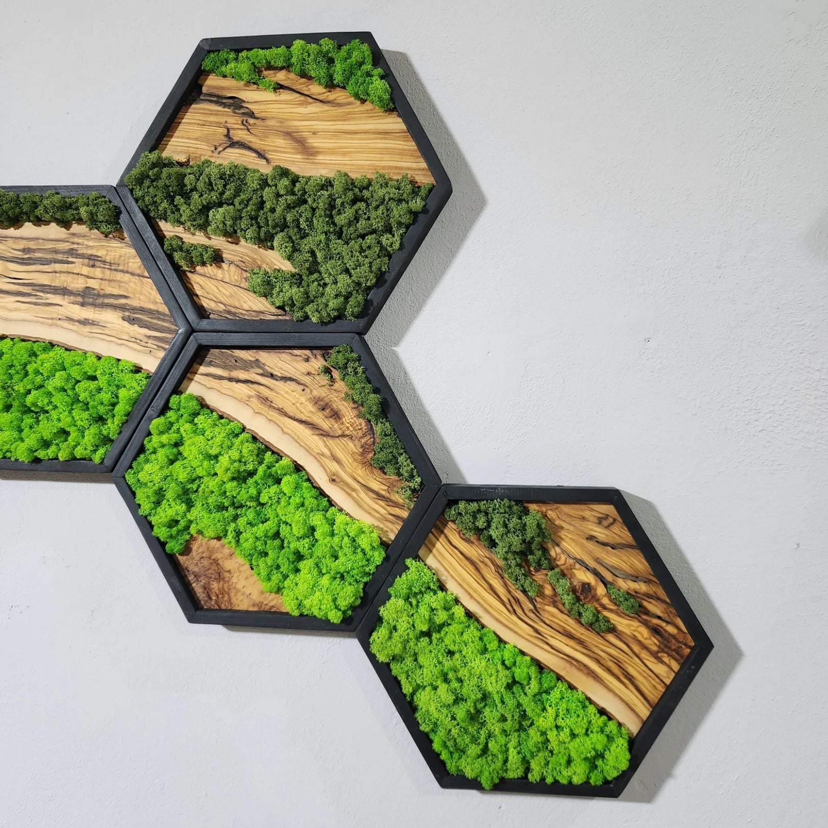 Hexagon Moss Wall Decor, Wooden Black Frame Moss Wall Decor, Olive Wood and Moss Wall Art, Preserved Honeycomb Moss Wall Art BlackSeaResinWorks
