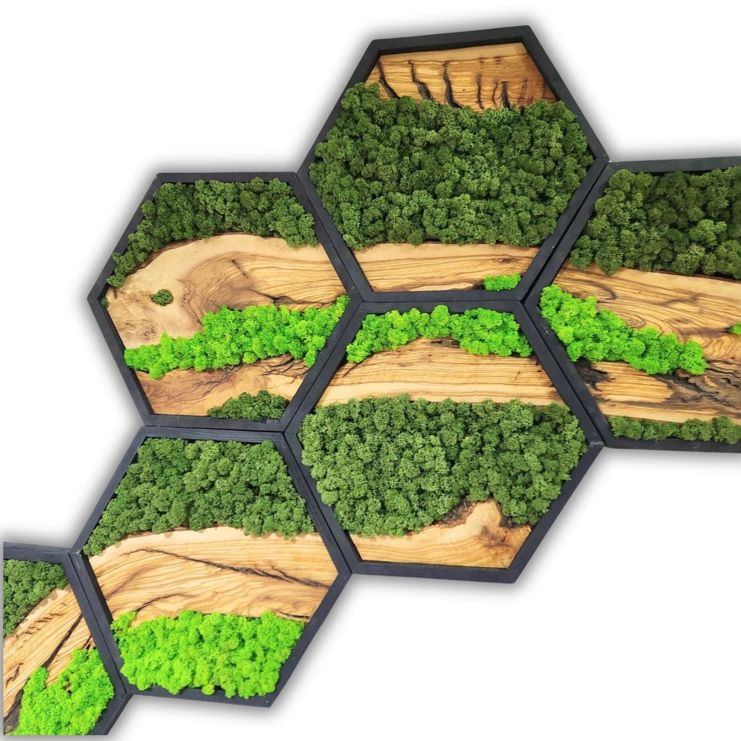 Hexagon Moss Wall Decor, Wooden Black Frame Moss Wall Decor, Olive Wood and Moss Wall Art, Preserved Honeycomb Moss Wall Art BlackSeaResinWorks