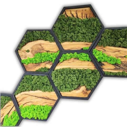 Hexagon Moss Wall Decor, Wooden Black Frame Moss Wall Decor, Olive Wood and Moss Wall Art, Preserved Honeycomb Moss Wall Art BlackSeaResinWorks