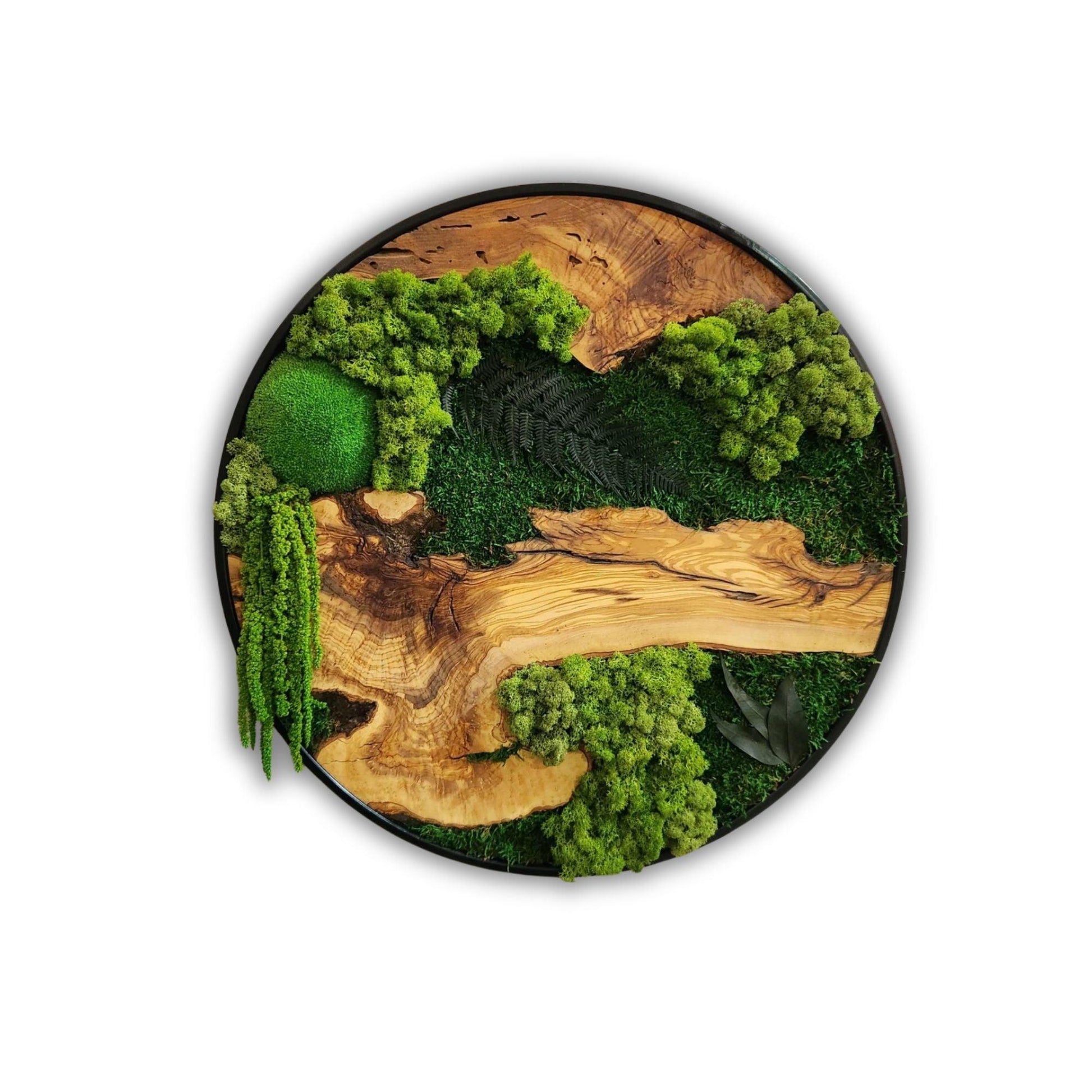 Custom Made Moss and Olive Wood Wall Art, Metal Frame Moss Wall Decor, Olive Wood and Moss Wall Art- Preserved Stabilized Moss Wall Decor BlackSeaResinWorks