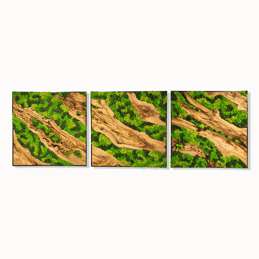 Custom Made Moss and Olive Wood Wall Art, Metal Frame Moss Wall Decor, Olive Wood and Moss Wall Art- Preserved Stabilized Moss Wall Decor