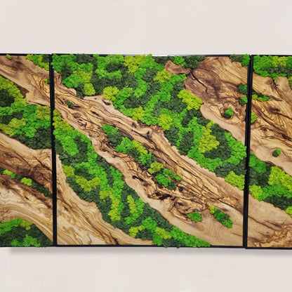 Custom Made Moss and Olive Wood Wall Art, Metal Frame Moss Wall Decor, Olive Wood and Moss Wall Art- Preserved Stabilized Moss Wall Decor