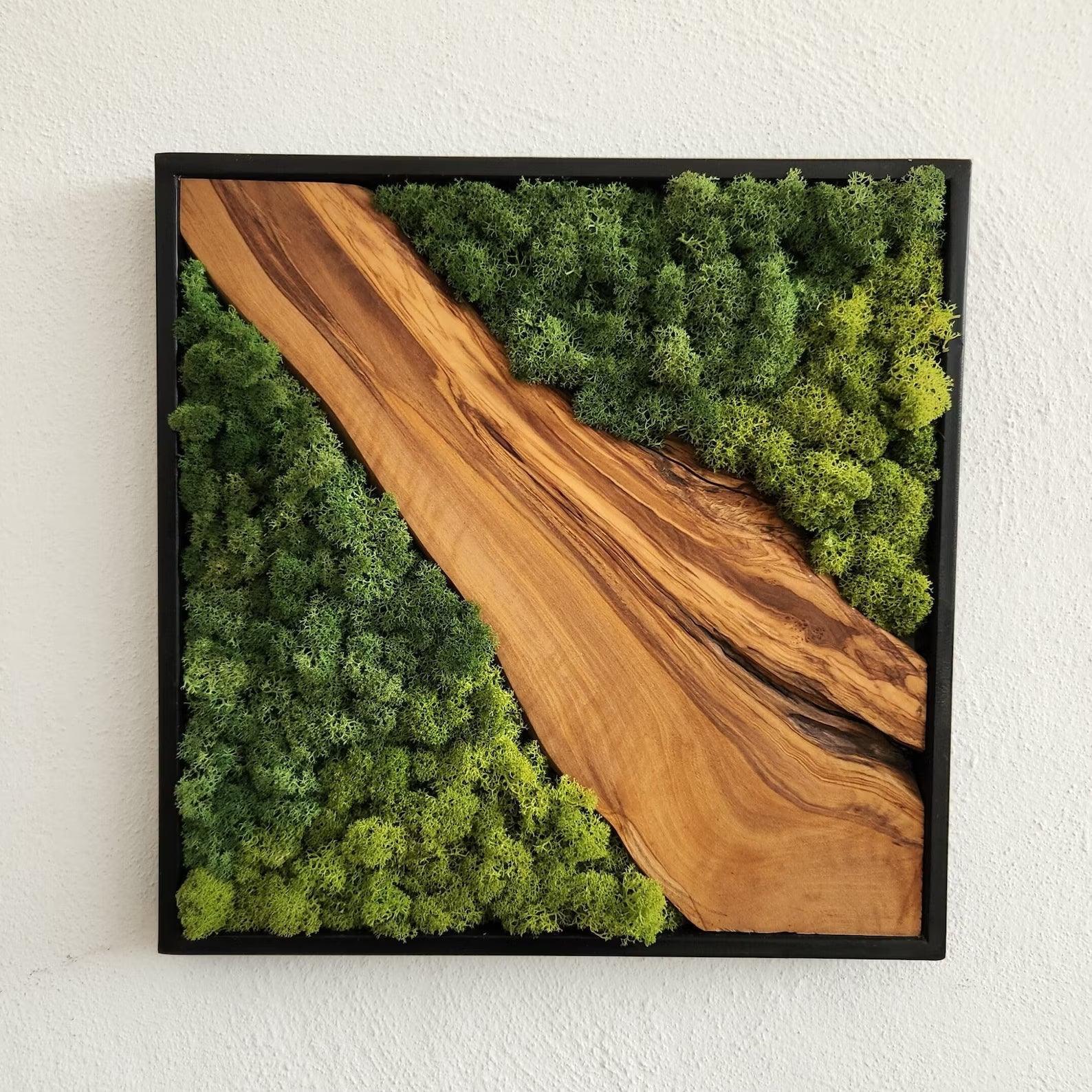 Custom Made Moss and Olive Wood Wall Art, Metal Frame Moss Wall Decor, Olive Wood and Moss Wall Art- Preserved Stabilized Moss Wall Decor BlackSeaResinWorks
