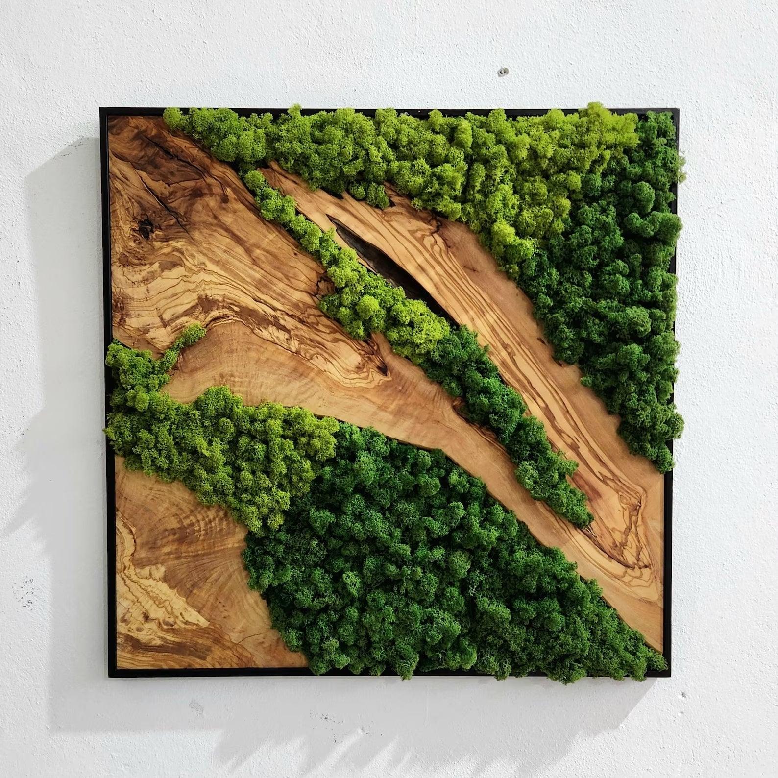 Custom Made Moss and Olive Wood Wall Art, Metal Frame Moss Wall Decor, Olive Wood and Moss Wall Art- Preserved Stabilized Moss Wall Decor BlackSeaResinWorks