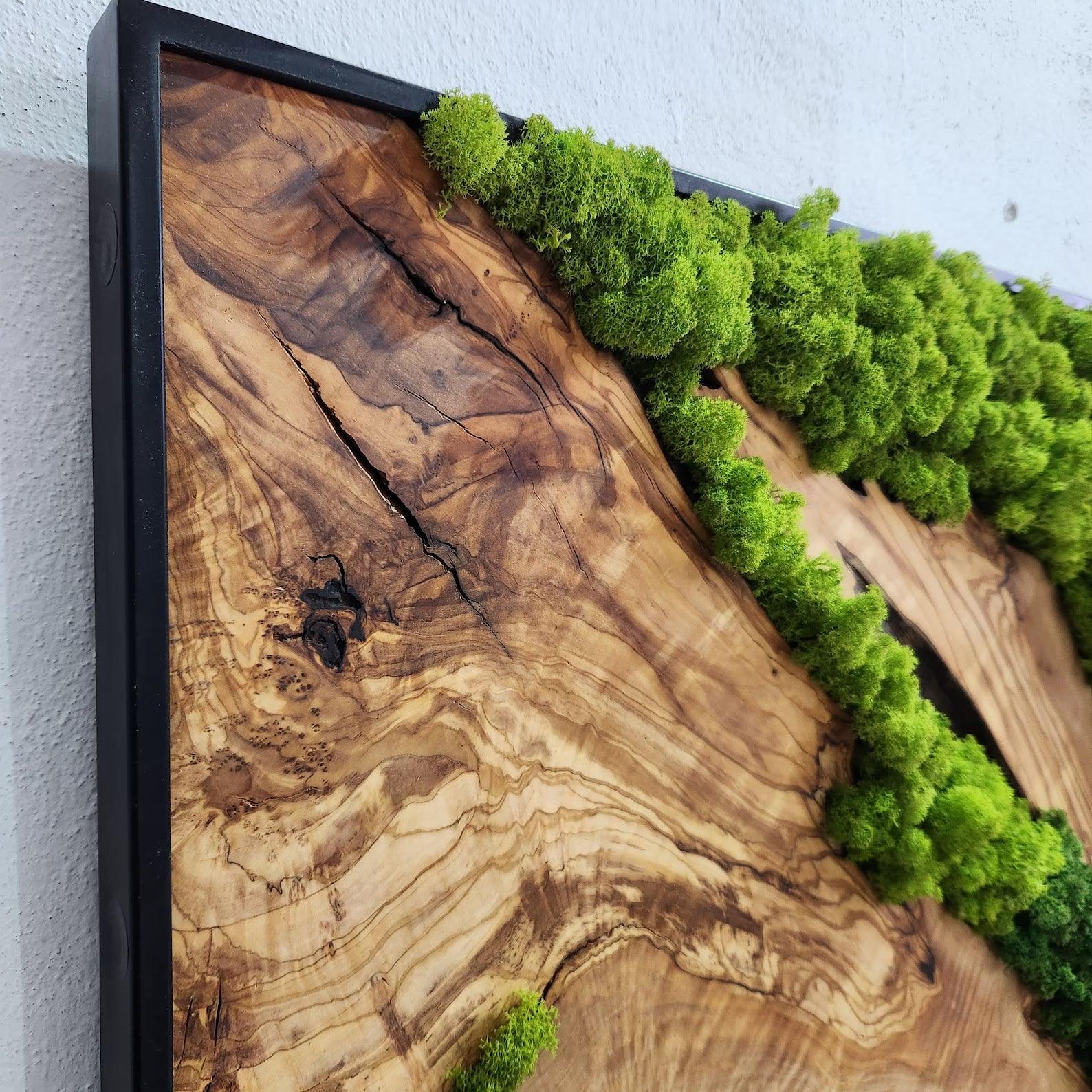 Custom Made Moss and Olive Wood Wall Art, Metal Frame Moss Wall Decor, Olive Wood and Moss Wall Art- Preserved Stabilized Moss Wall Decor BlackSeaResinWorks