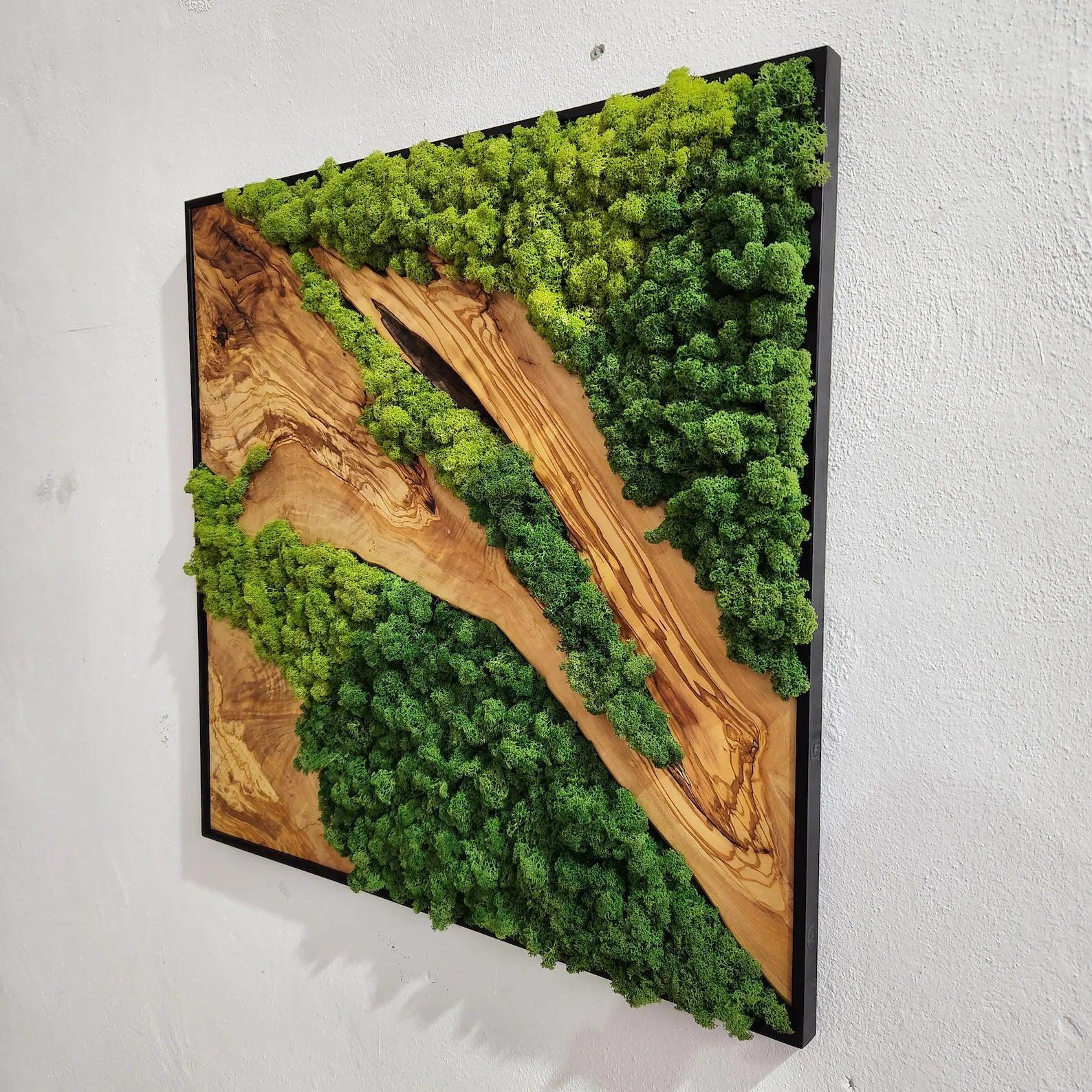 Custom Made Moss and Olive Wood Wall Art, Metal Frame Moss Wall Decor, Olive Wood and Moss Wall Art- Preserved Stabilized Moss Wall Decor BlackSeaResinWorks