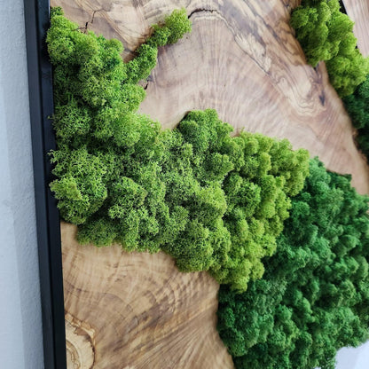 Custom Made Moss and Olive Wood Wall Art, Metal Frame Moss Wall Decor, Olive Wood and Moss Wall Art- Preserved Stabilized Moss Wall Decor BlackSeaResinWorks