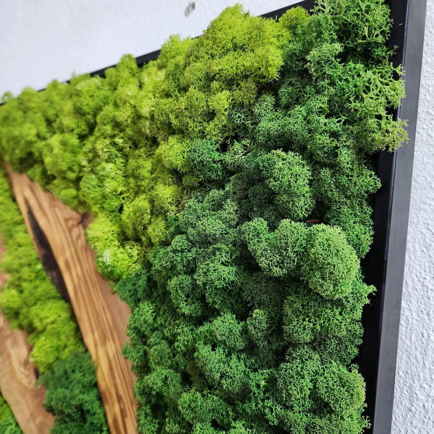 Custom Made Moss and Olive Wood Wall Art, Metal Frame Moss Wall Decor, Olive Wood and Moss Wall Art- Preserved Stabilized Moss Wall Decor BlackSeaResinWorks