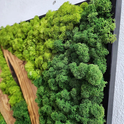 Custom Made Moss and Olive Wood Wall Art, Metal Frame Moss Wall Decor, Olive Wood and Moss Wall Art- Preserved Stabilized Moss Wall Decor BlackSeaResinWorks