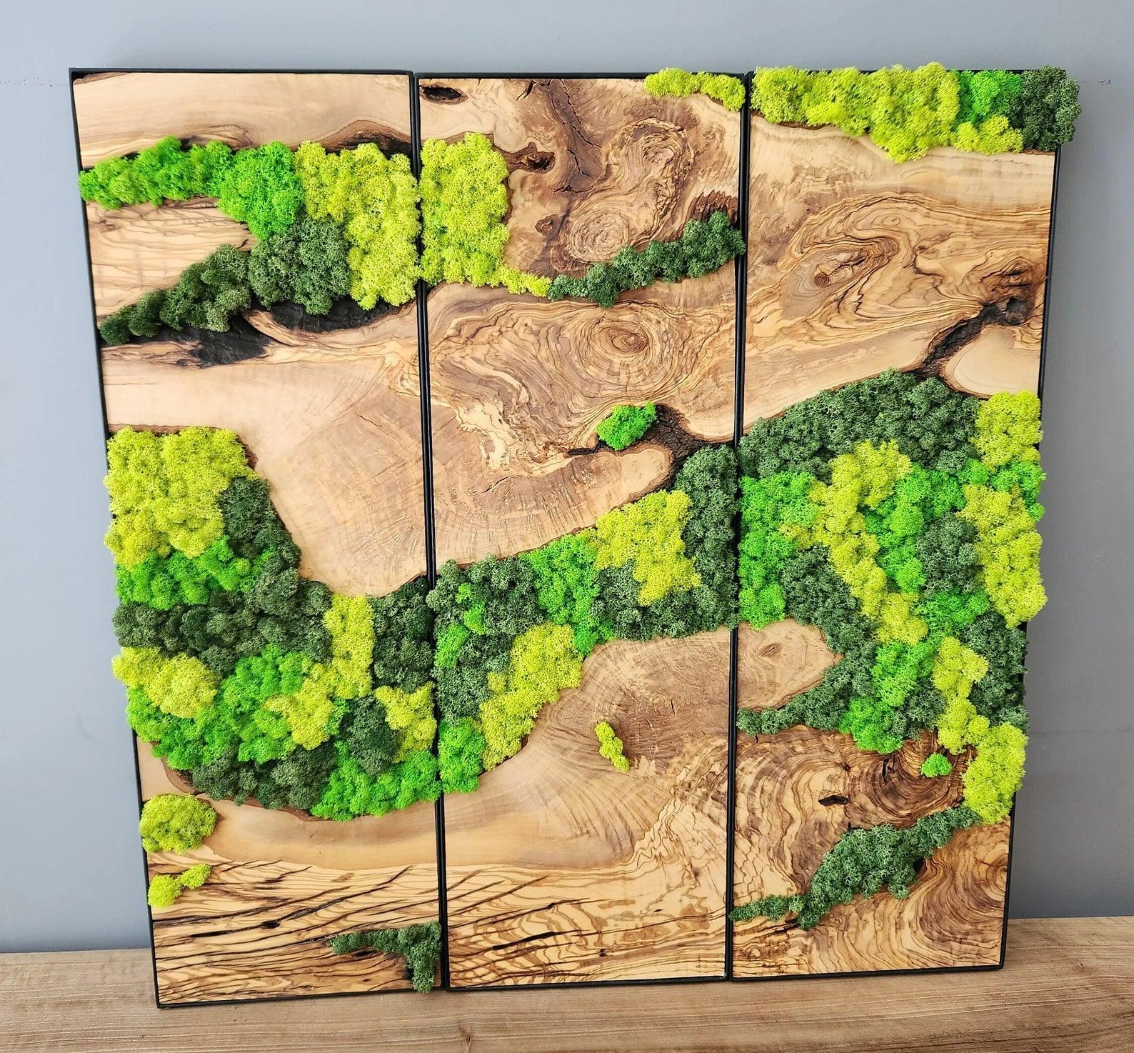 Moss Wall Decor, Custom Made Moss and Olive Wood Wall Art, Metal Frame, Olive Wood and Moss Wall Art- Preserved Stabilized Moss Wall Decor Artdesigna®