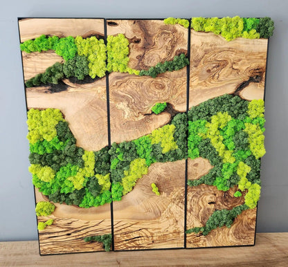 Moss Wall Decor, Custom Made Moss and Olive Wood Wall Art, Metal Frame, Olive Wood and Moss Wall Art- Preserved Stabilized Moss Wall Decor Artdesigna®