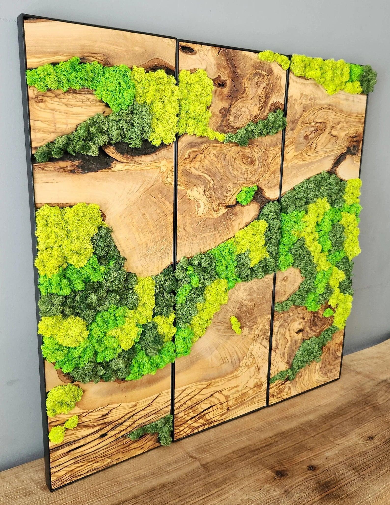 Moss Wall Decor, Custom Made Moss and Olive Wood Wall Art, Metal Frame, Olive Wood and Moss Wall Art- Preserved Stabilized Moss Wall Decor Artdesigna®