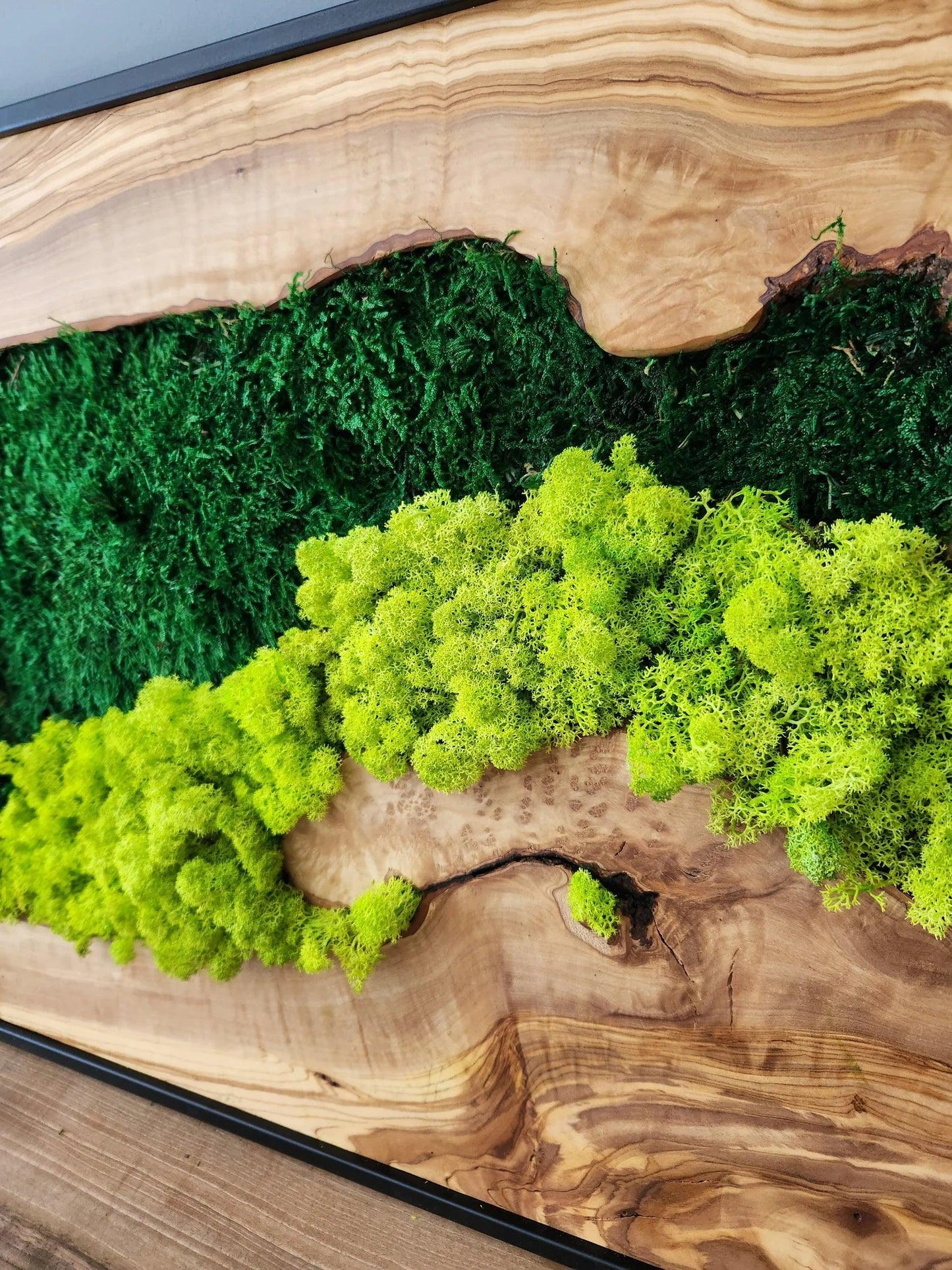 Moss Wall Decor, Custom Made Moss and Olive Wood Wall Art, Metal Frame, Olive Wood and Moss Wall Art- Preserved Stabilized Moss Wall Decor BlackSeaResinWorks