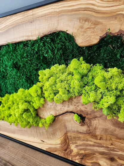 Moss Wall Decor, Custom Made Moss and Olive Wood Wall Art, Metal Frame, Olive Wood and Moss Wall Art- Preserved Stabilized Moss Wall Decor BlackSeaResinWorks