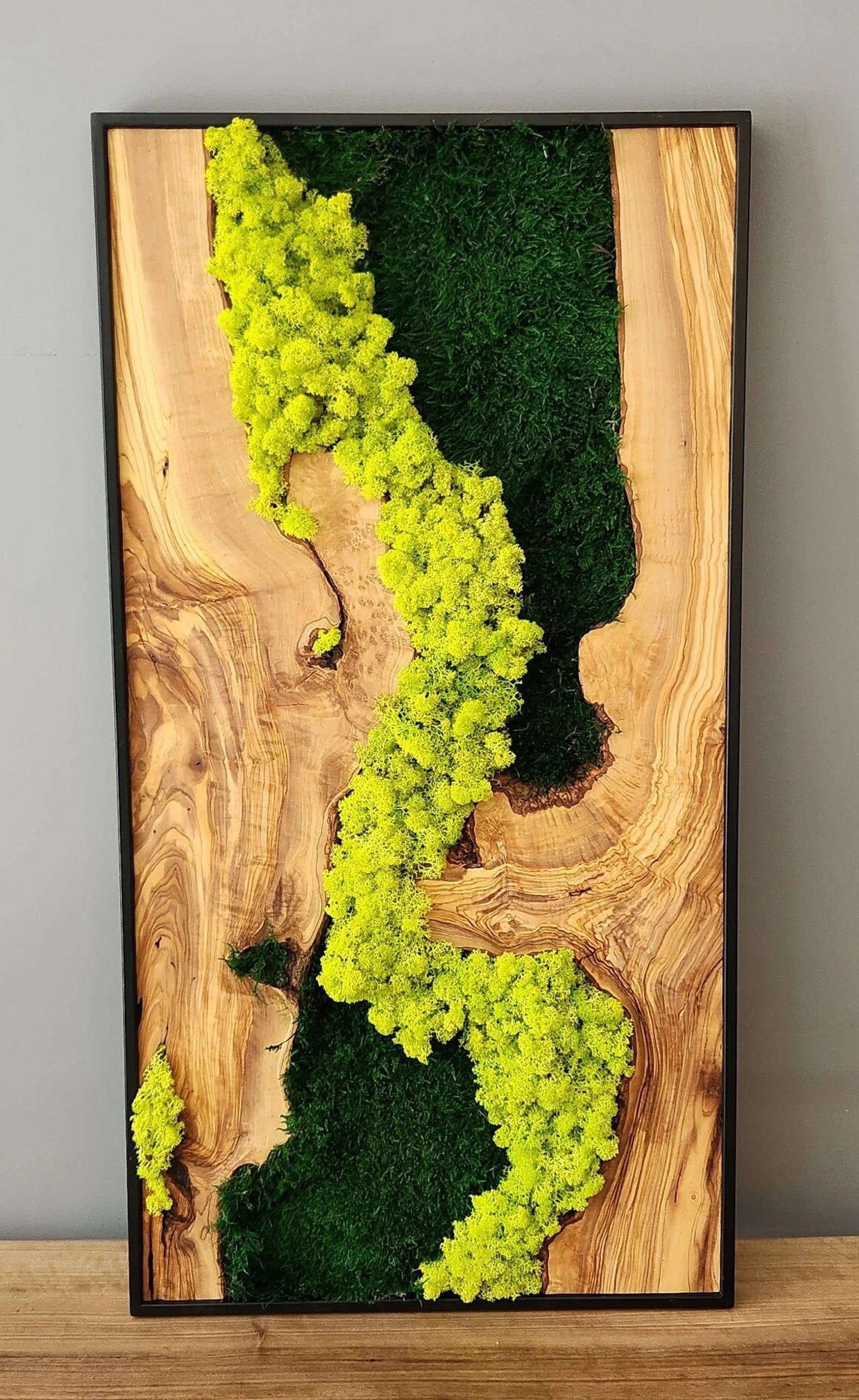 Moss Wall Decor, Custom Made Moss and Olive Wood Wall Art, Metal Frame, Olive Wood and Moss Wall Art- Preserved Stabilized Moss Wall Decor BlackSeaResinWorks