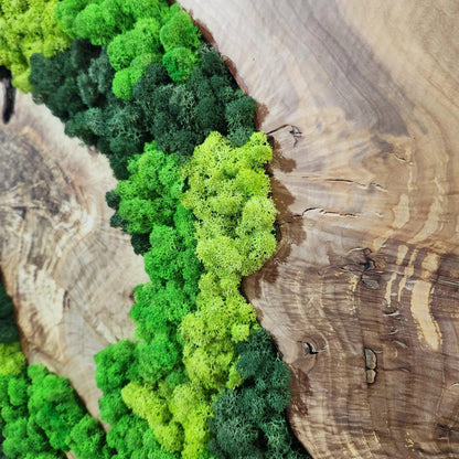 Moss and Olive Wood Wall Art, Metal Frame Moss Wall Decor, Olive Wood and Moss Wall Art- Preserved Stabilized Moss Wall Decor BlackSeaResinWorks