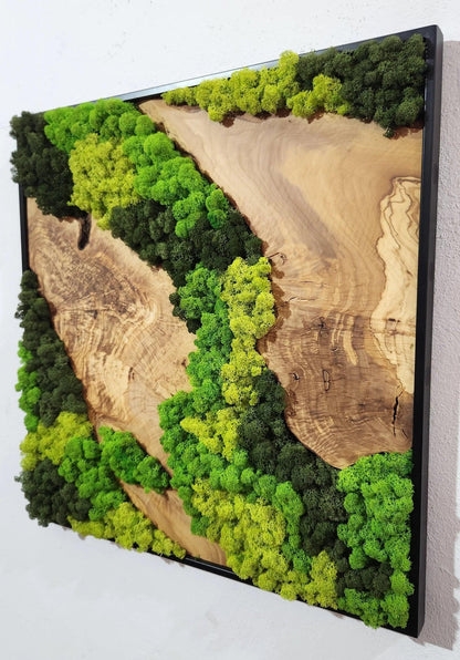 Moss and Olive Wood Wall Art, Metal Frame Moss Wall Decor, Olive Wood and Moss Wall Art- Preserved Stabilized Moss Wall Decor BlackSeaResinWorks