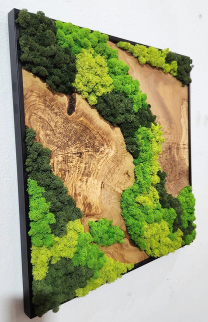 Moss and Olive Wood Wall Art, Metal Frame Moss Wall Decor, Olive Wood and Moss Wall Art- Preserved Stabilized Moss Wall Decor BlackSeaResinWorks