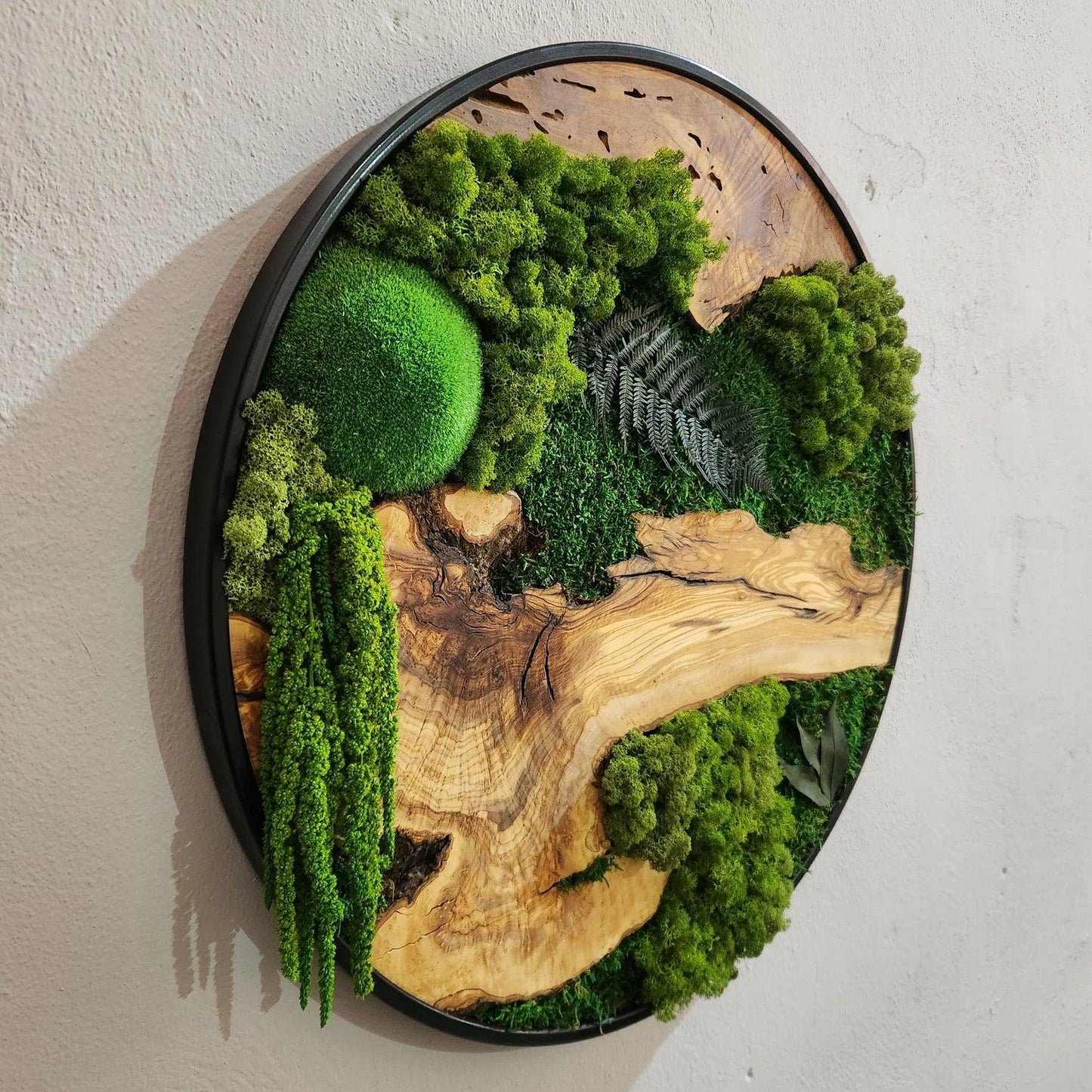 Custom Made Moss and Olive Wood Wall Art, Metal Frame Moss Wall Decor, Olive Wood and Moss Wall Art- Preserved Stabilized Moss Wall Decor BlackSeaResinWorks