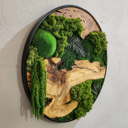 Custom Made Moss and Olive Wood Wall Art, Metal Frame Moss Wall Decor, Olive Wood and Moss Wall Art- Preserved Stabilized Moss Wall Decor BlackSeaResinWorks
