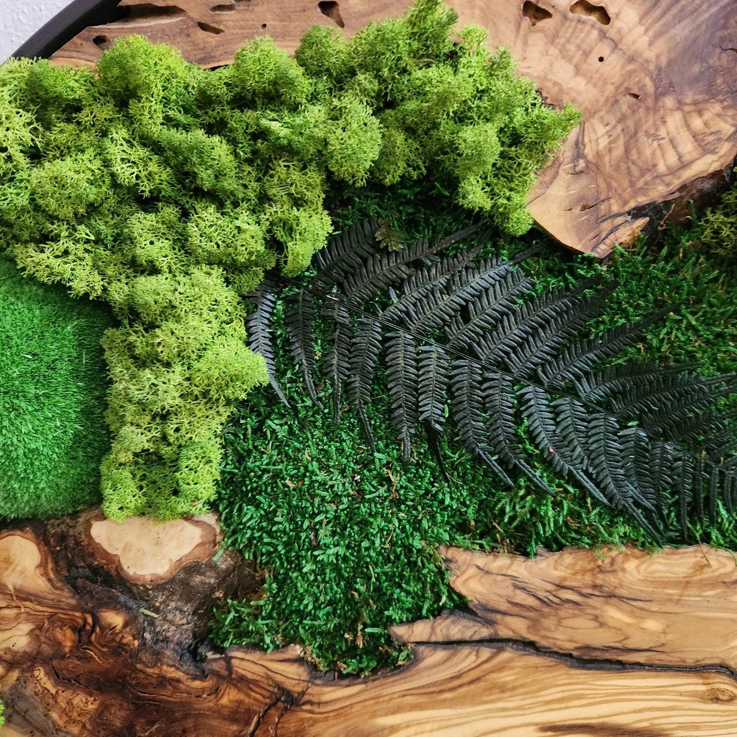 Custom Made Moss and Olive Wood Wall Art, Metal Frame Moss Wall Decor, Olive Wood and Moss Wall Art- Preserved Stabilized Moss Wall Decor BlackSeaResinWorks