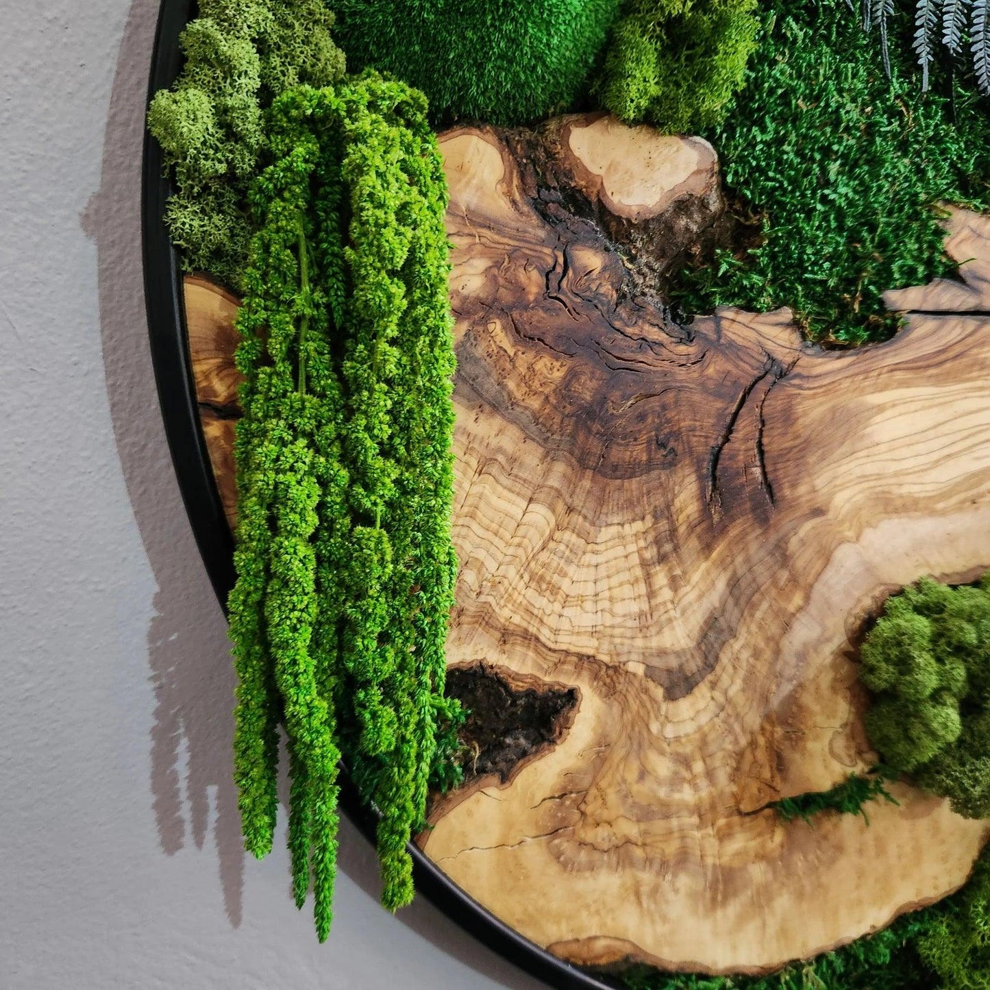 Custom Made Moss and Olive Wood Wall Art, Metal Frame Moss Wall Decor, Olive Wood and Moss Wall Art- Preserved Stabilized Moss Wall Decor BlackSeaResinWorks