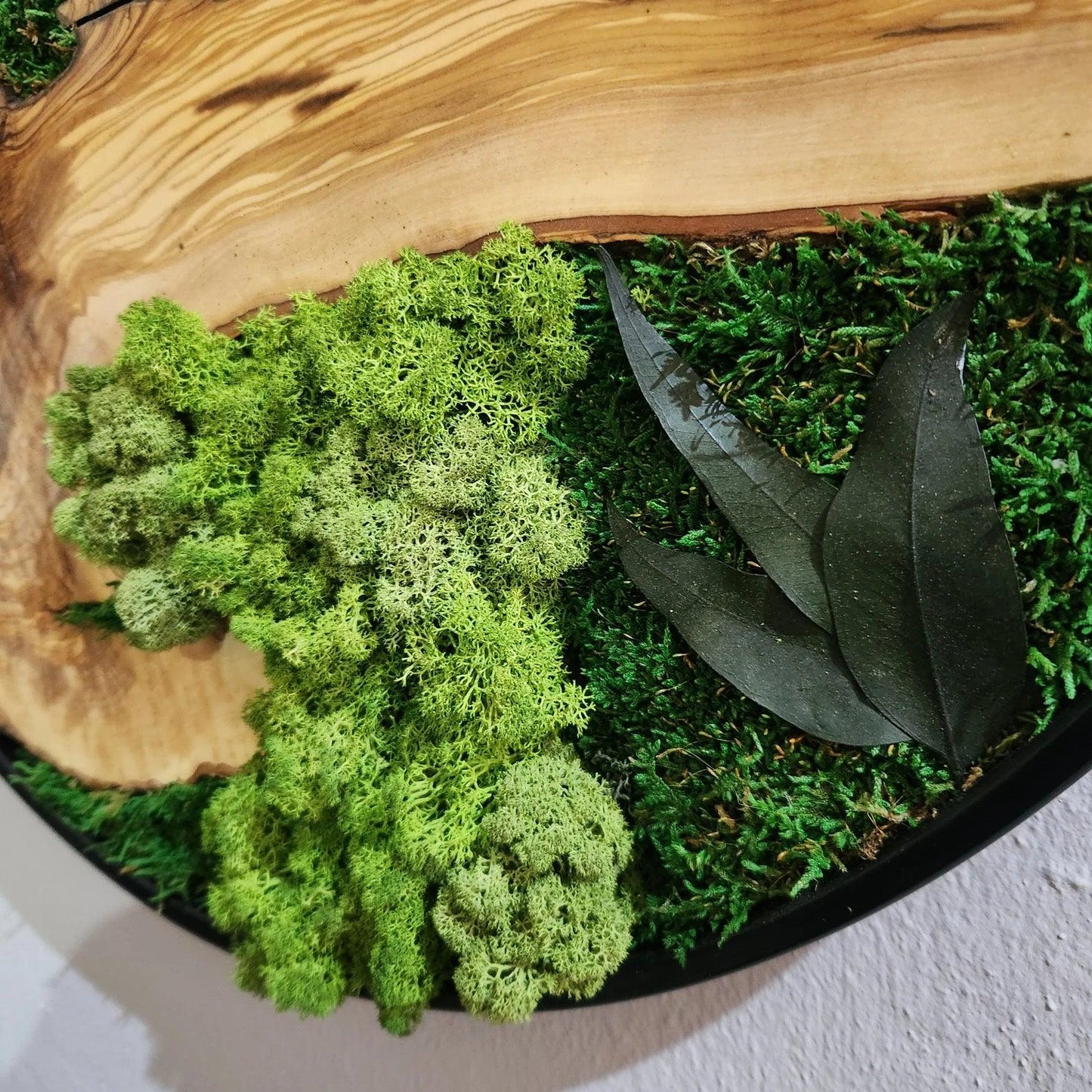 Custom Made Moss and Olive Wood Wall Art, Metal Frame Moss Wall Decor, Olive Wood and Moss Wall Art- Preserved Stabilized Moss Wall Decor BlackSeaResinWorks
